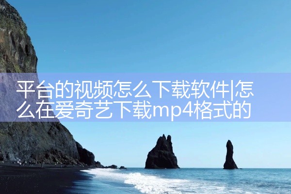 平台的视频怎么下载软件