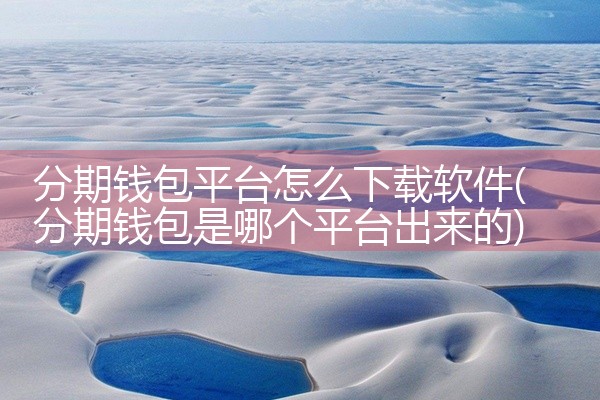 分期钱包平台怎么下载软件
