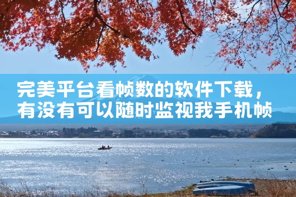 完美平台看帧数的软件下载