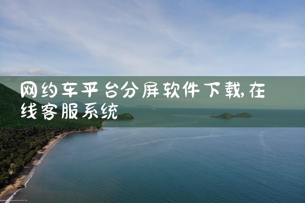 网约车平台分屏软件下载