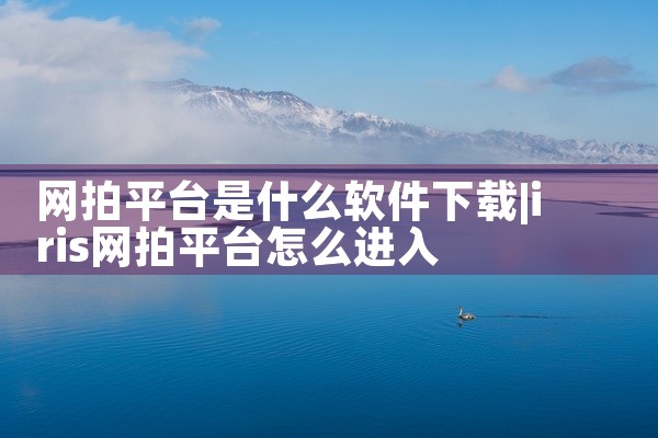网拍平台是什么软件下载
