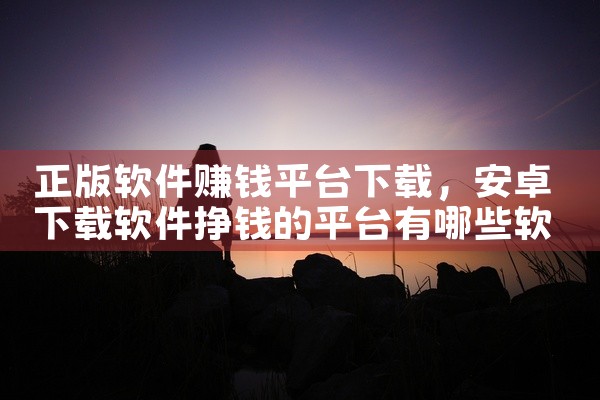 正版软件赚钱平台下载