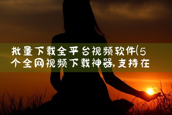 批量下载全平台视频软件