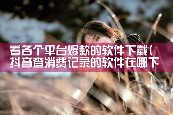 回收鞋子的平台软件下载