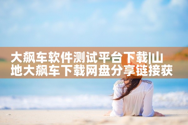大飙车软件测试平台下载
