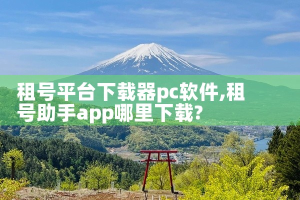 租号平台下载器pc软件