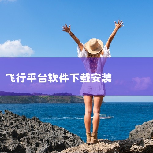 专业解锁版：提供全机型及自定义飞行计划，需确认下载平台合法性。安装完成后，建议首次启动时调整语言设置...|